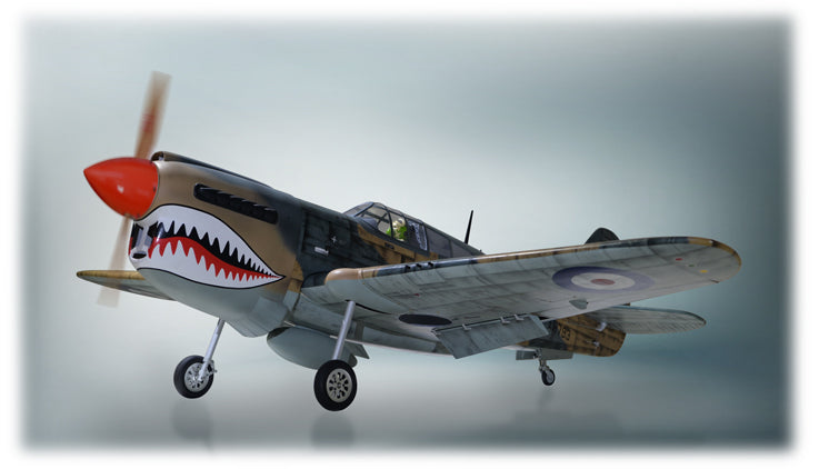Phoenix Model P-40 Warhawk nitro plane RTF