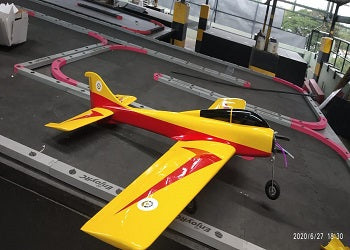 Arf Aeromodel Dirty Birdy Kit
