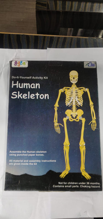 MAKE A SKELETON PAPER