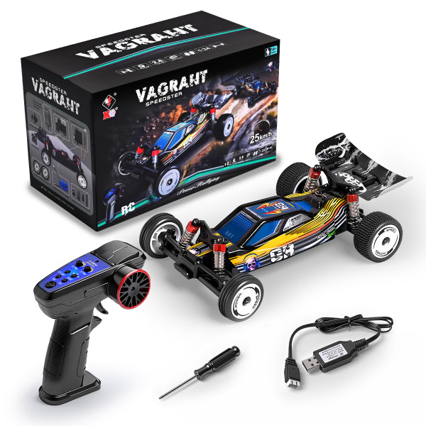 WLTOYS 244016 1:24 VAGRANT SPEEDSTER RC CAR 2WD 2.4G RC RACING VEHICLE 30KM/H