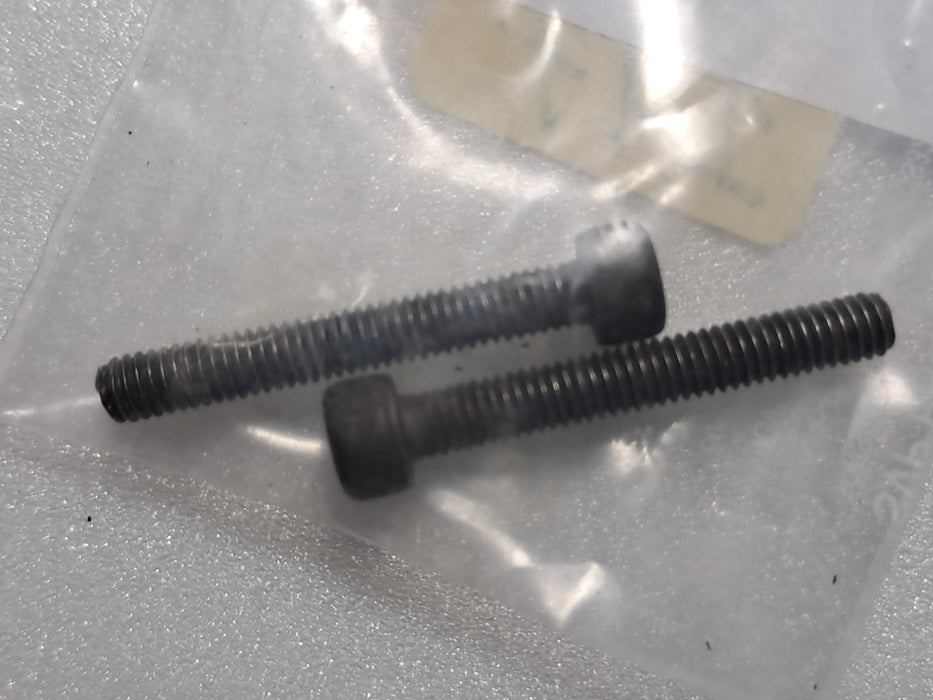 4X28mm HEX BOLT(PACK OF = 2) PRE-OWNED