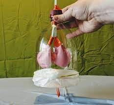 Working Of Lungs Model