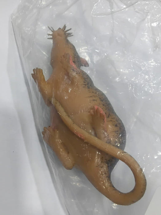 RAT- STATIC MODEL 8019