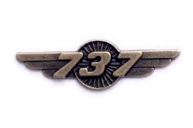 LAPEL PINS B737