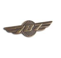 LAPEL PINS B787