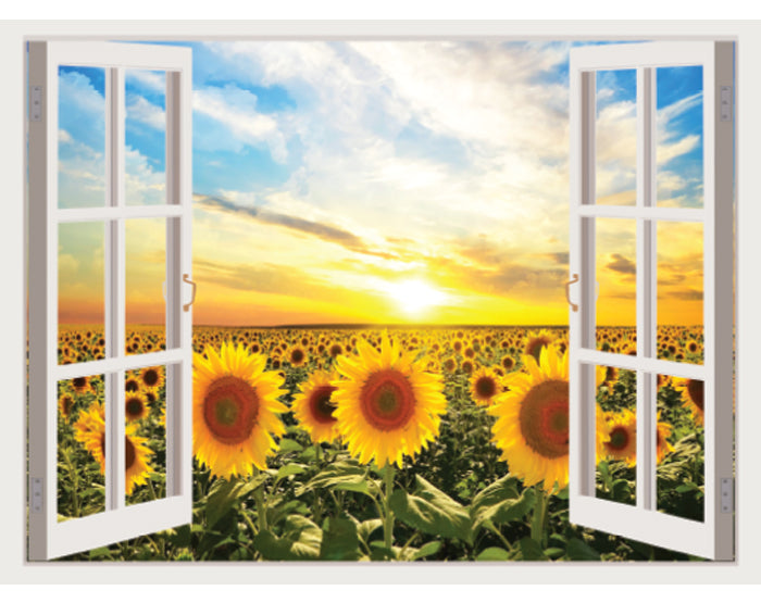 IMPRESSIVE 3D WINDOW WALL DECALS, REMOVABLE WALL STICKERS, WALL DECOR