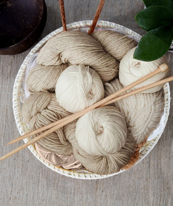 Wicker Wire Fruit Basket Bowls | Round Tabletop Rattan Woven Serving Bowls for Party and Home